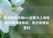 如果我的电脑DNS设置为上海电信的服务器地址，我还需要设置吗
