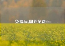 免费dns,国外免费dns