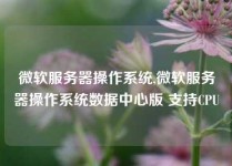 微软服务器操作系统,微软服务器操作系统数据中心版 支持CPU