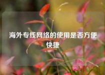 海外专线网络的使用是否方便快捷
