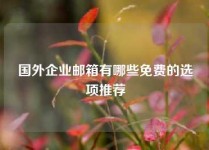 国外企业邮箱有哪些免费的选项推荐