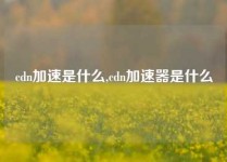 cdn加速是什么,cdn加速器是什么