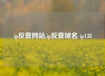ip反查网站,ip反查域名 ip138