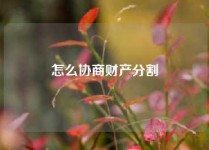 怎么协商财产分割