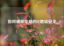 如何确保电脑的IP地址安全