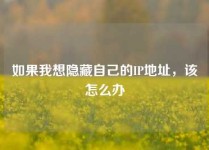 如果我想隐藏自己的IP地址，该怎么办