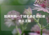 如何判断一个域名是否已经被他人注册
