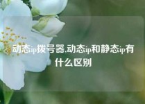 动态ip拨号器,动态ip和静态ip有什么区别