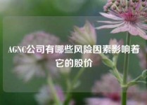 AGNC公司有哪些风险因素影响着它的股价