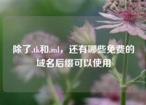 除了.tk和.ml，还有哪些免费的域名后缀可以使用