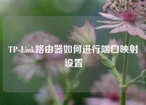 TP-Link路由器如何进行端口映射设置