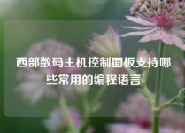 西部数码主机控制面板支持哪些常用的编程语言