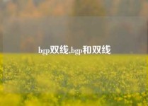 bgp双线,bgp和双线