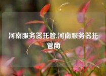 河南服务器托管,河南服务器托管商