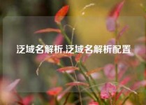 泛域名解析,泛域名解析配置