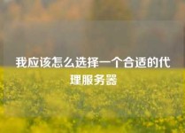 我应该怎么选择一个合适的代理服务器