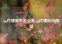 qq代理服务器设置,qq代理访问网络