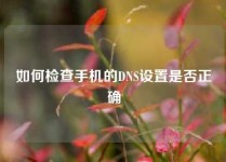 如何检查手机的DNS设置是否正确