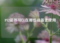 P12证书可以在哪些设备上使用