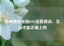 如果我的电脑DNS设置错误，怎么才能正确上网