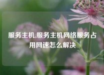 服务主机,服务主机网络服务占用网速怎么解决