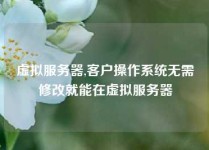虚拟服务器,客户操作系统无需修改就能在虚拟服务器