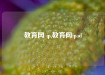 教育网 ip,教育网ipad