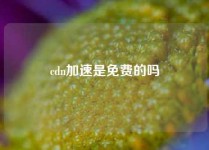 cdn加速是免费的吗