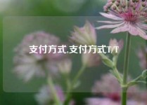 支付方式,支付方式T/T