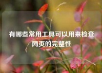 有哪些常用工具可以用来检查网页的完整性