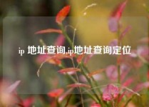 ip 地址查询,ip地址查询定位