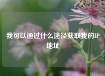 我可以通过什么途径获取我的IP地址