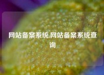 网站备案系统,网站备案系统查询