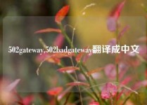502gateway,502badgateway翻译成中文