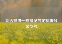 能否提供一些常见的定制服务器型号