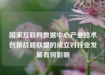 国家互联网数据中心产业技术创新战略联盟的成立对行业发展有何影响