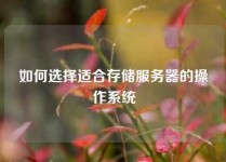 如何选择适合存储服务器的操作系统