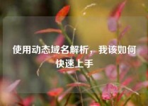 使用动态域名解析，我该如何快速上手