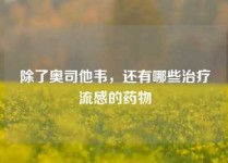 除了奥司他韦，还有哪些治疗流感的药物