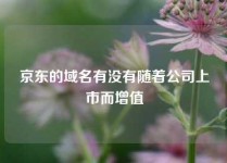 京东的域名有没有随着公司上市而增值