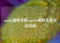 apache虚拟主机,apache虚拟主机无法访问
