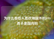 为什么有些人喜欢用国外的DNS而不是国内的