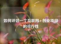 如何评估一个互联网+创业项目的可行性
