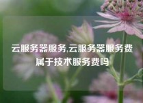 云服务器服务,云服务器服务费属于技术服务费吗