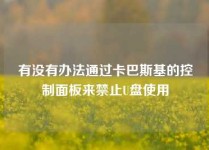有没有办法通过卡巴斯基的控制面板来禁止U盘使用