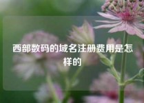 西部数码的域名注册费用是怎样的