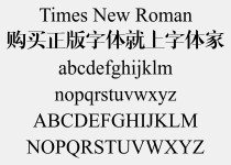 有没有其他类似风格的字体推荐