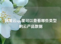 阿里云app里可以查看哪些类型的云产品数据