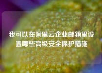 我可以在阿里云企业邮箱里设置哪些高级安全保护措施