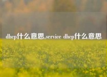 dhcp什么意思,service dhcp什么意思